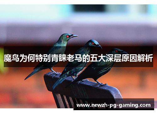 魔鸟为何特别青睐老马的五大深层原因解析