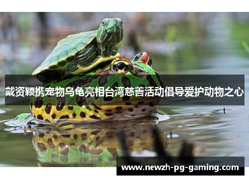 戴资颖携宠物乌龟亮相台湾慈善活动倡导爱护动物之心